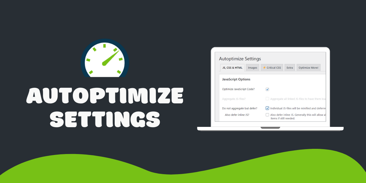 Autoptimize setting review by wpfixs