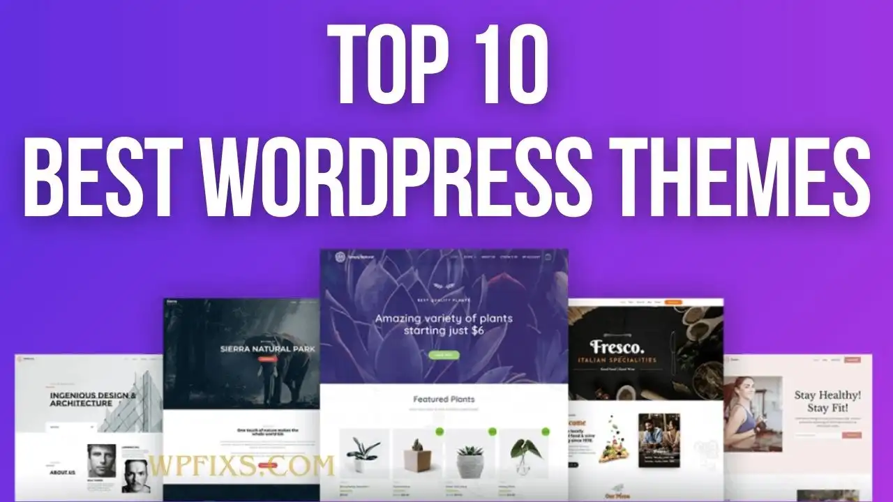 Top 10 Best WordPress Themes Will Make Content Managing Effortless